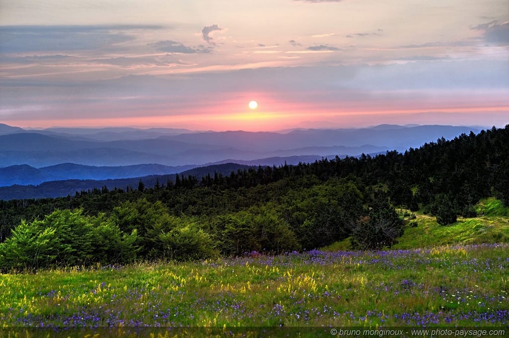 Vue depuis le Mont Aigoual vers la Méditérannée, Bruno Monginoux, Licence CC, Flickr