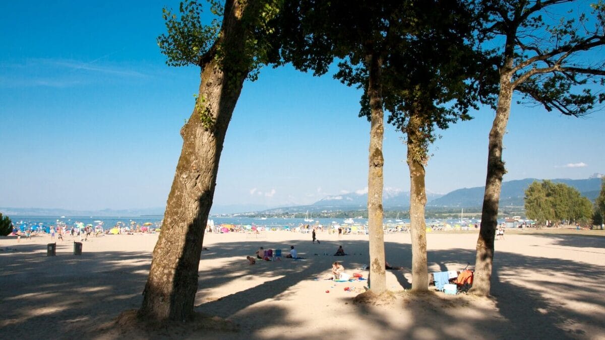 Plage d'Excenevex et ombre des peupliers