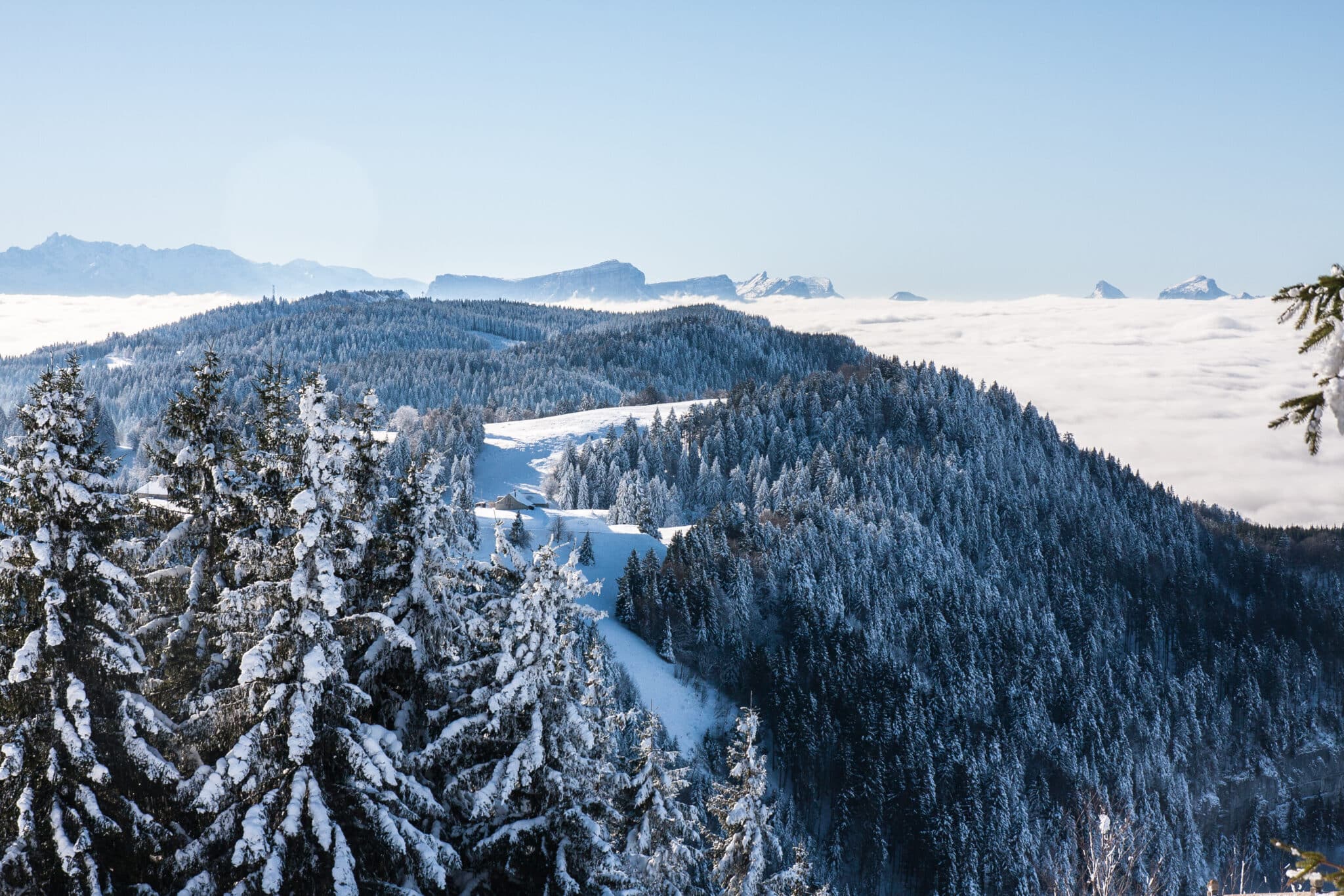 Le Revard, à 1h30 de Lyon