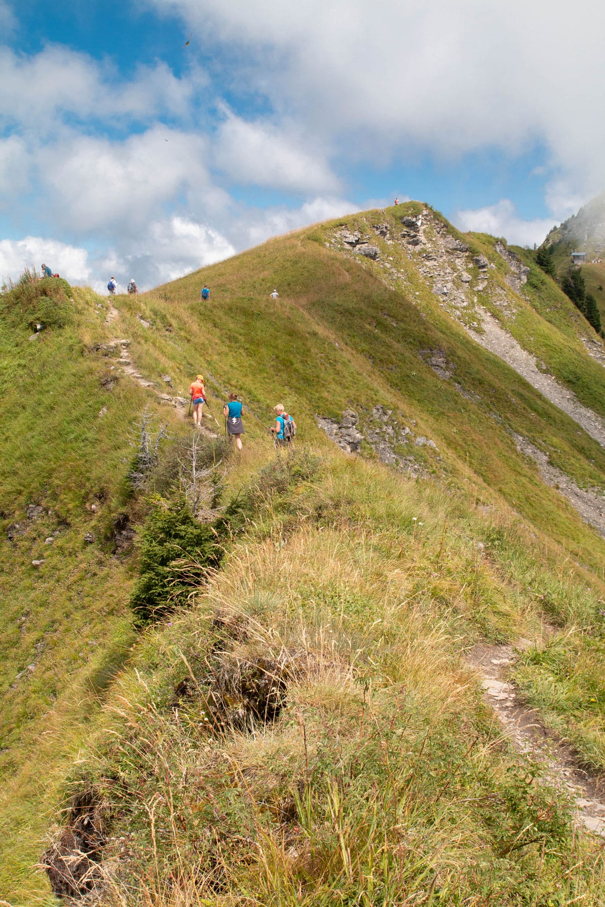 Sur les hauteurs de Joux Plane à Samoëns