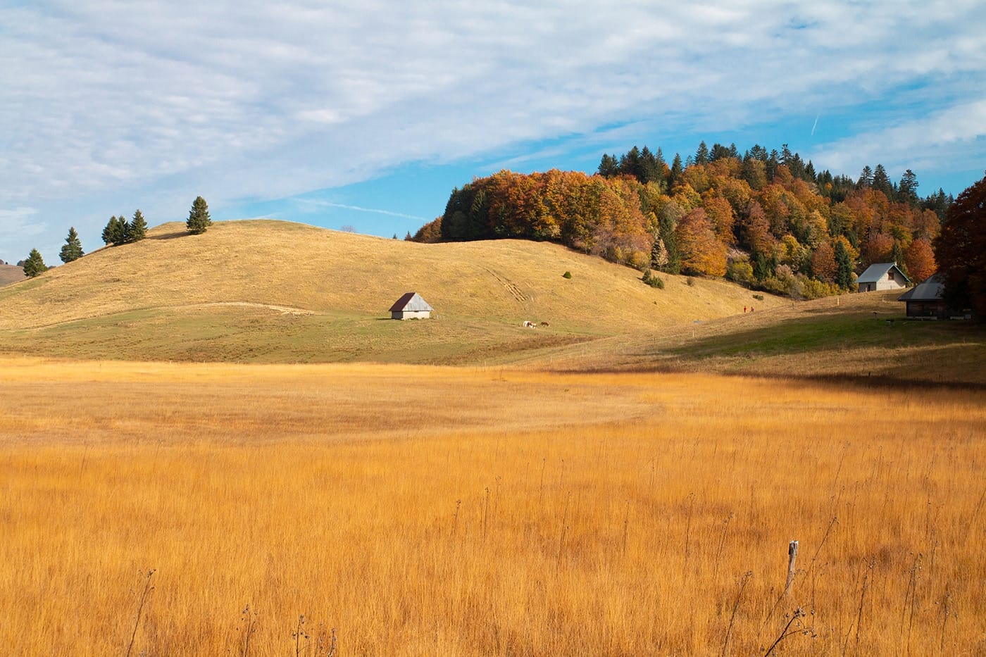 Plateau des Bauges en novembre