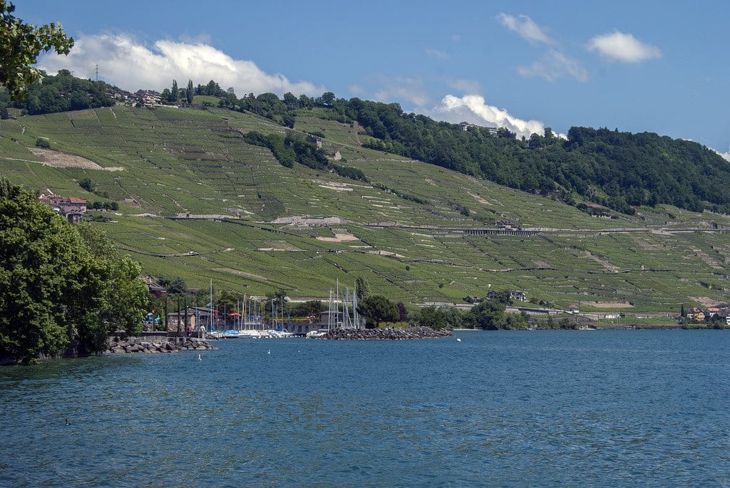 Les vignobles de Lavaux dominent le lac Léman