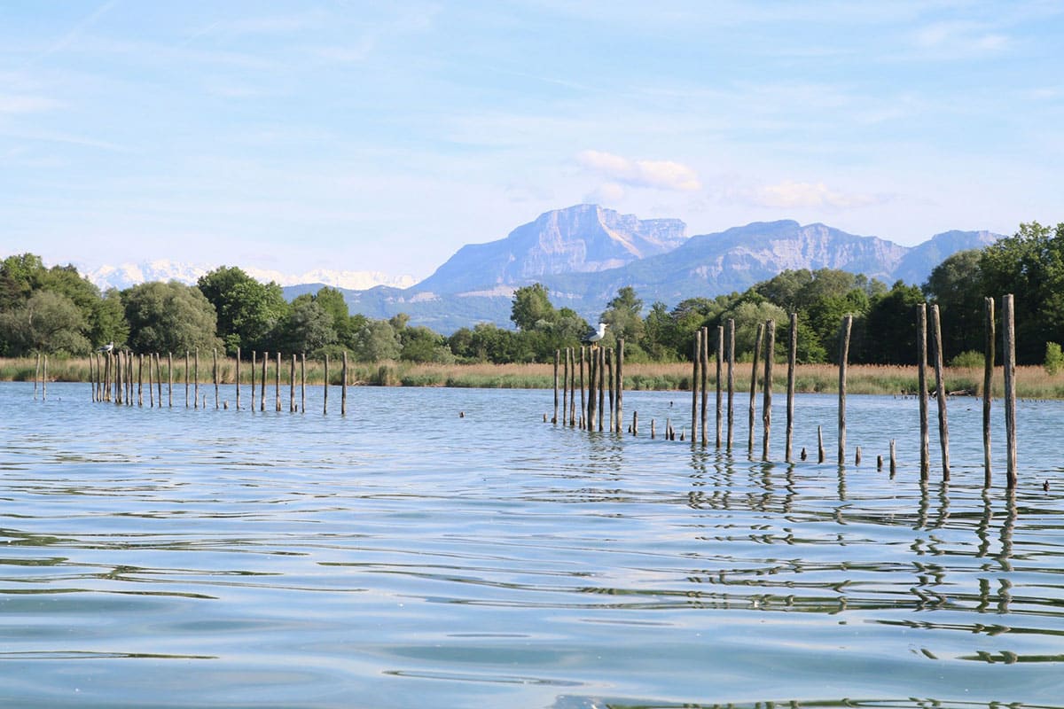 Lac de Bourget en été