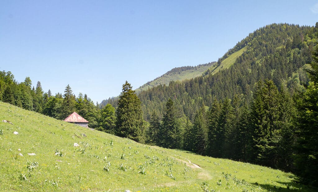 Chalet isolé dans les Bauges