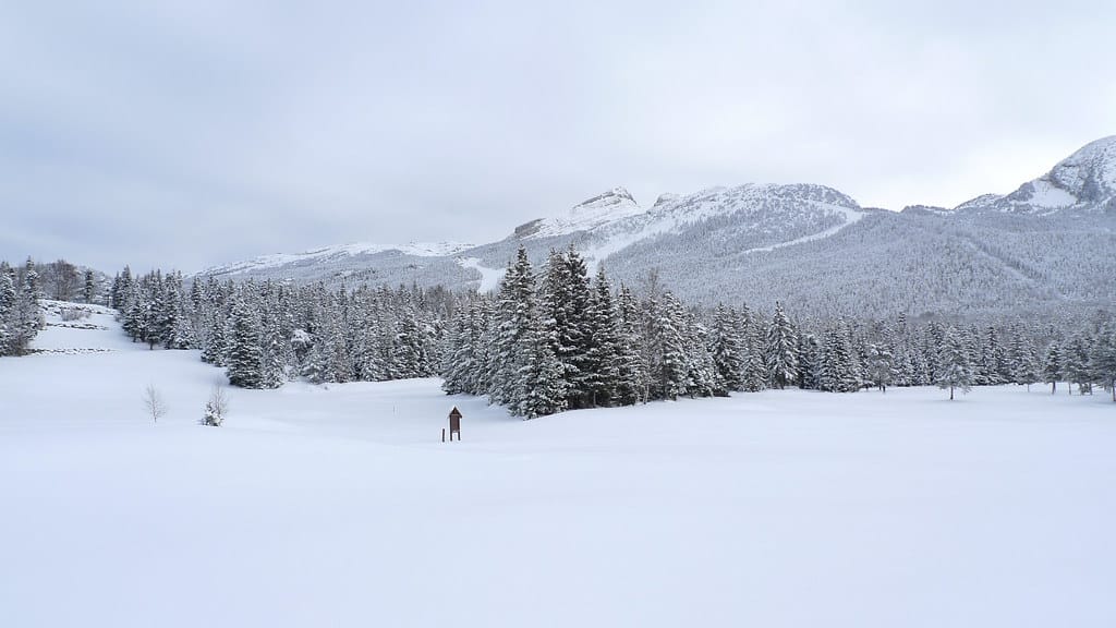 Hauts plateau du Vercors