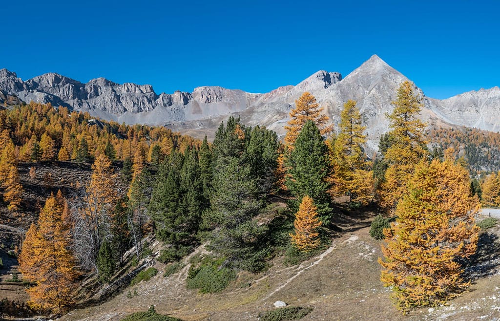 La route de l'Izoard et les paysages du Queyras, une des merveilles des Hautes-Alpes