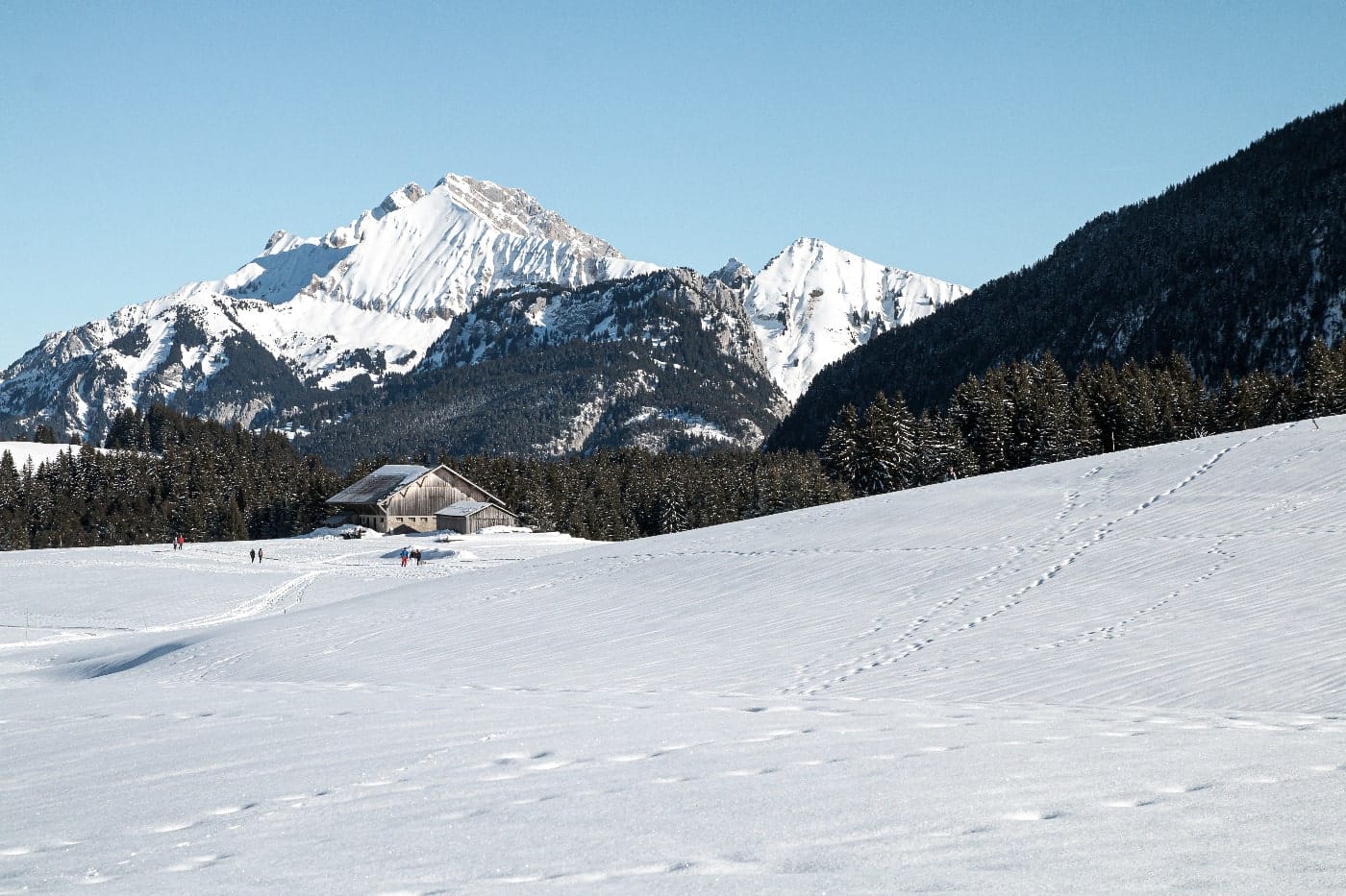 Sur le plateau des Glières