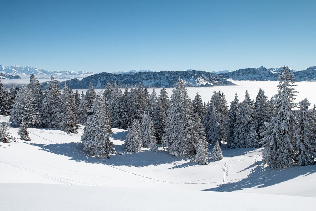 Paysages enneigés depuis le Semnoz en hiver