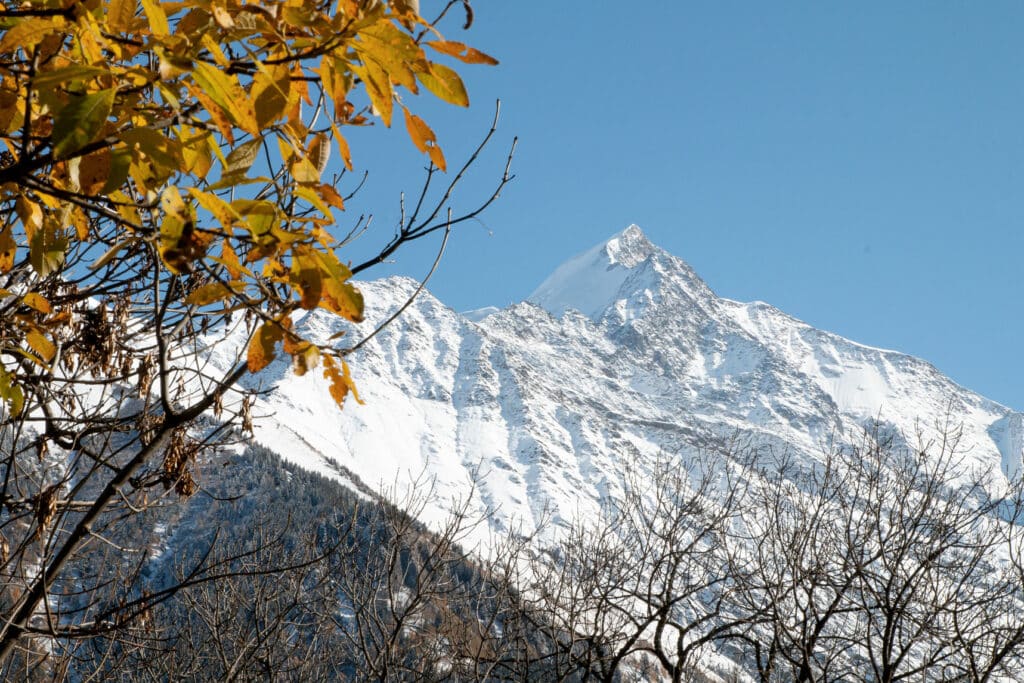 Neiges sur l'aiguille de Bionnassay depuis le village de Saint Nicolas de Véroce