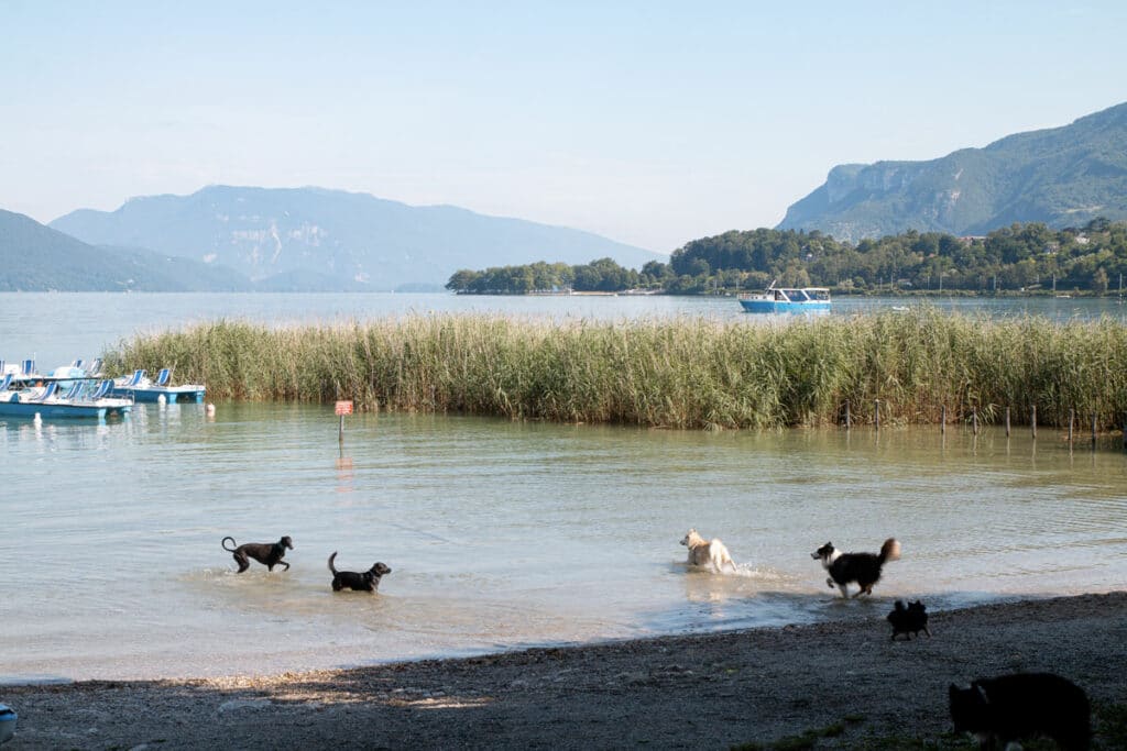 Petite plage à cheins à Aix les Bains
