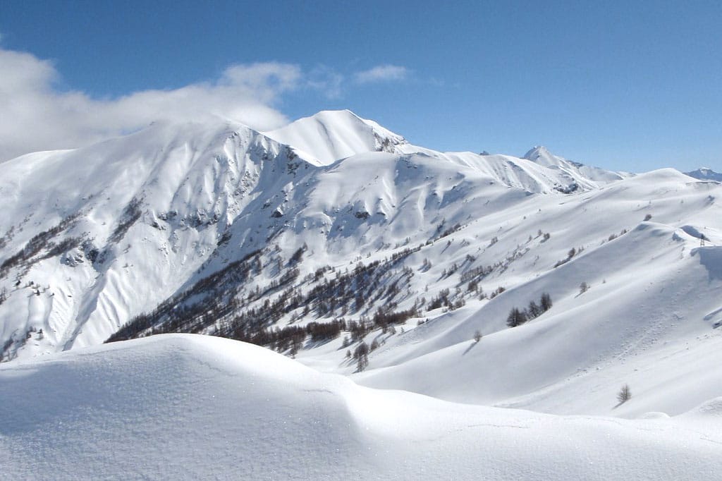 Neige fraîche à la Foux d'Allos