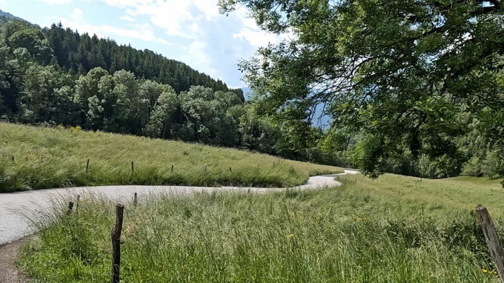 Après la forêt, la route du col de la Forclaz serpente dans les près avec des virages bien pentus