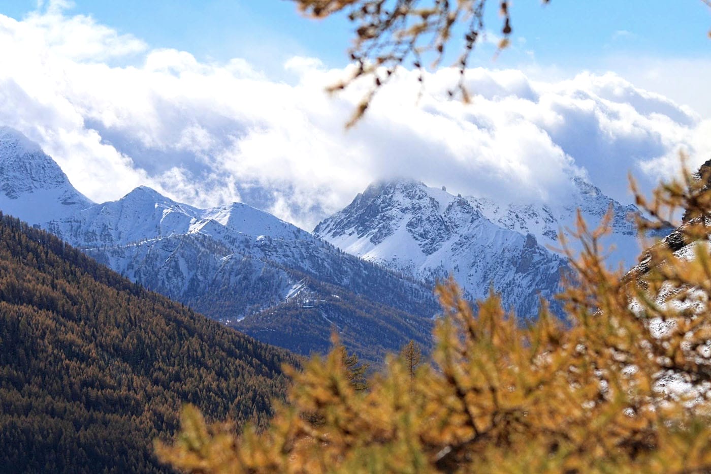 couleurs d'automne en montagne à la toussaint