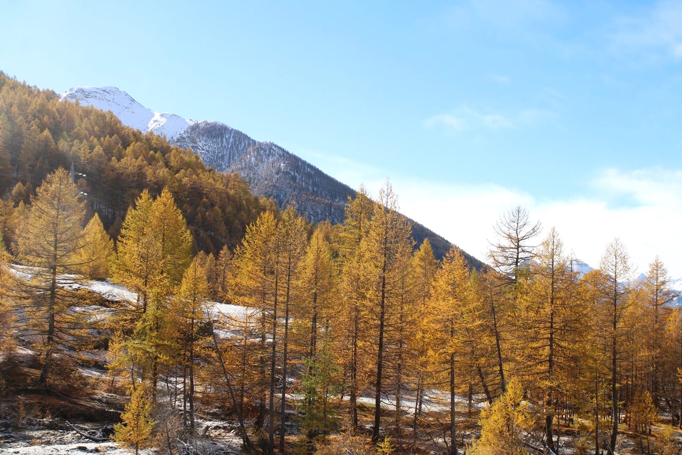 Contrastes d'automne dans la vallée de Rochemolles en Italie