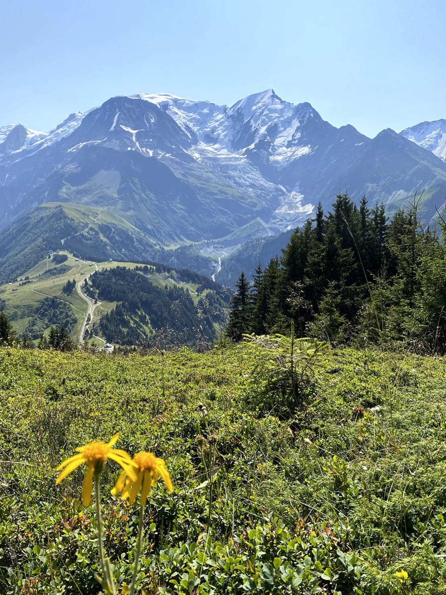 Vue sur le massif du Mont-Blanc depuis le Prarion